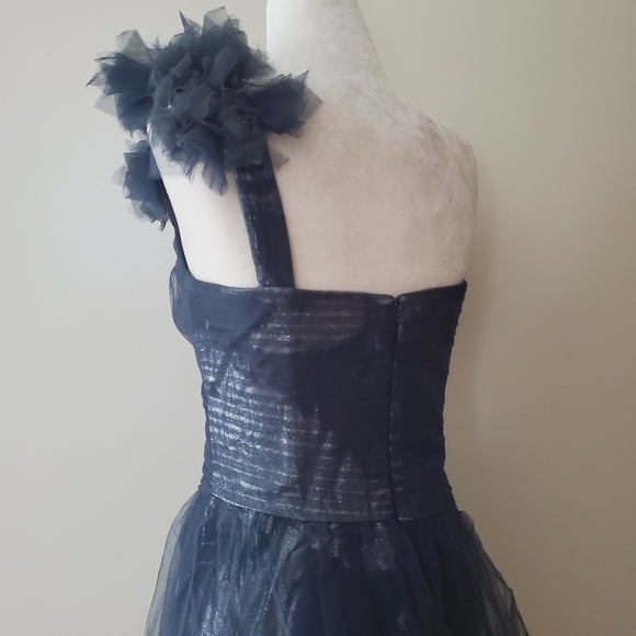 BCBGMaxAzria Silk Tulle Mini Dress - Picture 11 of 16